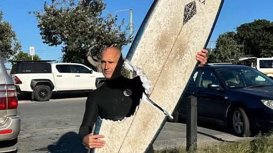 Cabarita beach shark attack australia