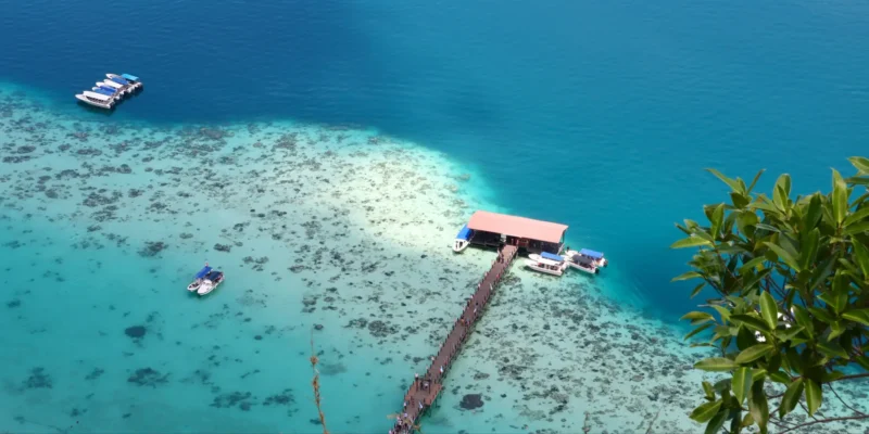 Kudat trawler verbot für den schutz von haien und rochen